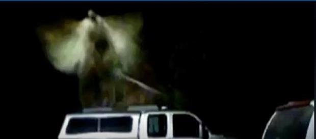 Bombeiro aposentado acredita que anjo apareceu na parte externa de sua casa (TMJ4) Bombeiro aposentado acredita que anjo apareceu na parte externa de sua casa (TMJ4)
