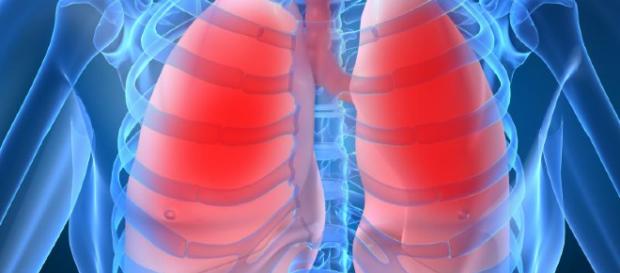 Cómo desintoxicar los pulmones - 5 pasos (con imágenes) - uncomo.com Cómo desintoxicar los pulmones - 5 pasos (con imágenes) - uncomo.com