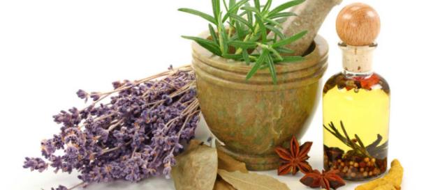 Cocina Segura: Intoxicaciones por plantas medicinales - cocinasegura.com Cocina Segura: Intoxicaciones por plantas medicinales - cocinasegura.com