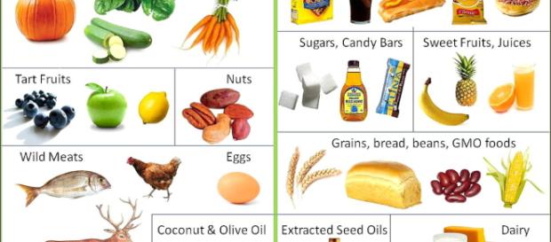 DIETA PALEO mas imformacion.... DIETA PALEO mas imformacion....