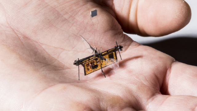 Fonte: https://techxplore.com/news/2018-05-wireless-robotic-insect.html