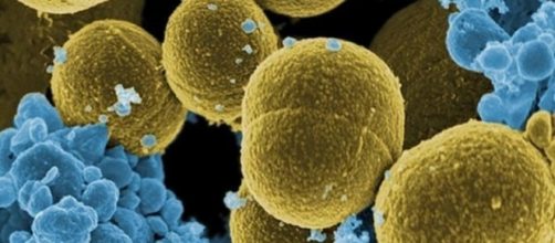 Scienza: Germania scopre farmaco antibiotico umano per combattere influenza - blastingnews.com