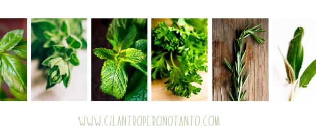 Alzheimer | Cilantro pero no tanto… - wordpress.com Alzheimer | Cilantro pero no tanto… - wordpress.com