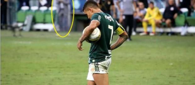 Dudu pega a bola para bater pênalti Dudu pega a bola para bater pênalti