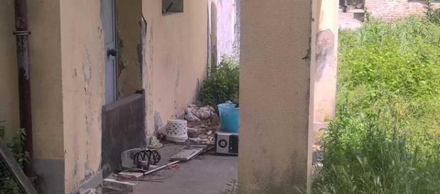 Giulianova, zingara cuoce e mangia un gatto Giulianova, zingara cuoce e mangia un gatto