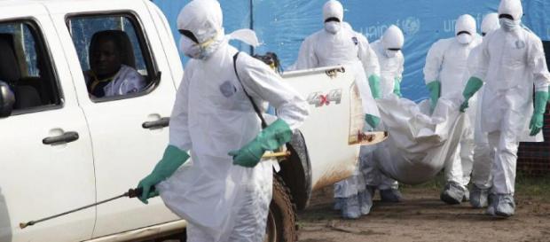 Infizierte Tiere werden verspeist: Ebola-Virus frisst sich ... - focus.de Infizierte Tiere werden verspeist: Ebola-Virus frisst sich ... - focus.de