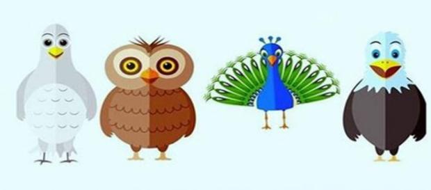 Os pássaros dizem um pouco mais sobre a sua personalidade Os pássaros dizem um pouco mais sobre a sua personalidade