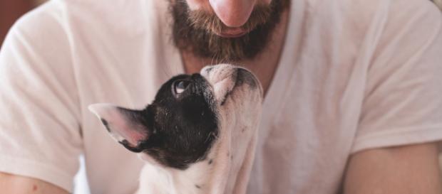 Tu perro te quiere más de lo que crees. (Foto: Pixabay) Tu perro te quiere más de lo que crees. (Foto: Pixabay)
