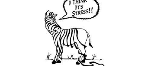 Lo stress - conosciamolo meglio - Studio Psicologia Pathos - psicologiapathos.it