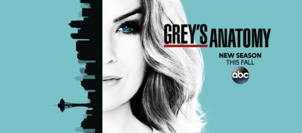 Finaliza en EEUU la 14va temporada de Greys Anatomy Finaliza en EEUU la 14va temporada de Greys Anatomy