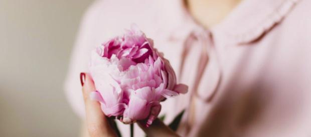 galateo-dei-fiori-donna-fiore - Corato LoStradone.it - lostradone.it galateo-dei-fiori-donna-fiore - Corato LoStradone.it - lostradone.it