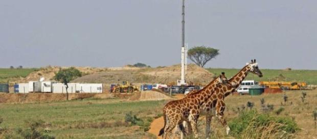 las actividades, como la construcción de carreteras, la instalación de líneas eléctricas, incluso la construcción de ciudades las actividades, como la construcción de carreteras, la instalación de líneas eléctricas, incluso la construcción de ciudades