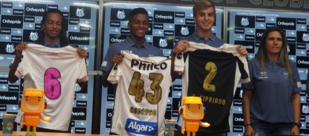 Marca aparecerá dentro dos números Marca aparecerá dentro dos números