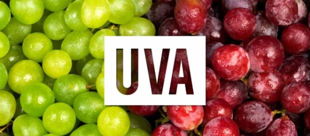 Beneficios de la Uvas - Mercola.com - mercola.com Beneficios de la Uvas - Mercola.com - mercola.com