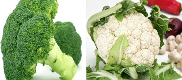 brocoli vs coliflor 2 grandes regeneradores - tipo de diabetes - tipodediabetes.com brocoli vs coliflor 2 grandes regeneradores - tipo de diabetes - tipodediabetes.com