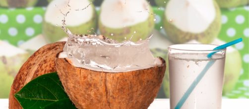 Todo lo que debes saber del agua de coco