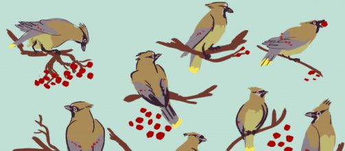 Meg loves birds and frequently features these clever creatures in her art. / Image via Meg Petrillo, used with permission.