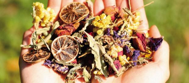 Productos naturales recomendables — DSalud - dsalud.com Productos naturales recomendables — DSalud - dsalud.com