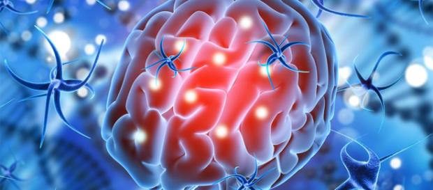 Revivir a personas con muerte cerebral, cada vez más cerca | EL DEBATE - com.mx Revivir a personas con muerte cerebral, cada vez más cerca | EL DEBATE - com.mx