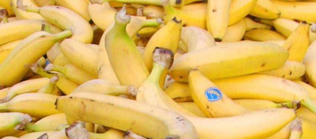 Fruta: el banano mas imformacion Fruta: el banano mas imformacion