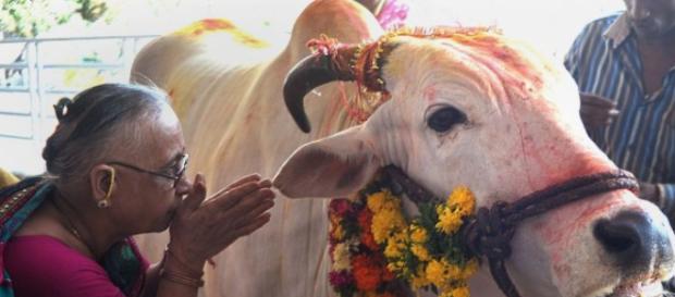 India, giovani massacrati per un po' di carne India, giovani massacrati per un po' di carne