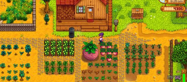 Mejores cultivos de Stardew Valley y guía de granjas - xgn.es Mejores cultivos de Stardew Valley y guía de granjas - xgn.es