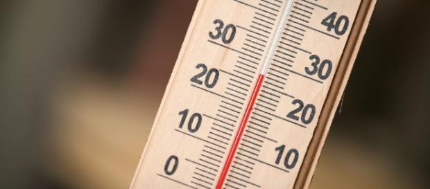 Thermometer: Das perfekte Instrument zum Kontrollieren von ... - haushaltsapparate.net Thermometer: Das perfekte Instrument zum Kontrollieren von ... - haushaltsapparate.net