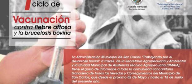 Vacunas, aquí están todas las reglas y obligaciones impuestas por la ley Vacunas, aquí están todas las reglas y obligaciones impuestas por la ley