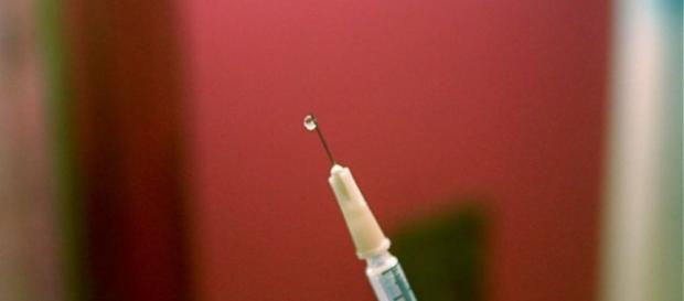 Combate la hepatitis C con esta planta china | Plantas - facilisimo.com Combate la hepatitis C con esta planta china | Plantas - facilisimo.com