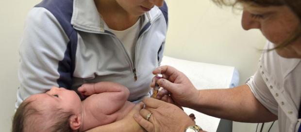 Italia obliga a los padres por ley a vacunar a sus hijos | ciencia ... - elmundo.es Italia obliga a los padres por ley a vacunar a sus hijos | ciencia ... - elmundo.es