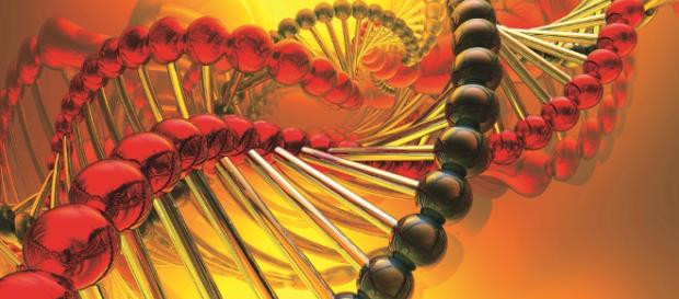 Logran modificar genes de embriones humanos - com.mx Logran modificar genes de embriones humanos - com.mx