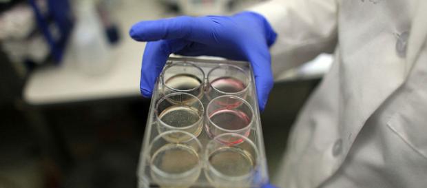 Un donatore di sperma si aggira in furgone per l'Inghilterra: ha già 65 figli biologici. Un donatore di sperma si aggira in furgone per l'Inghilterra: ha già 65 figli biologici.