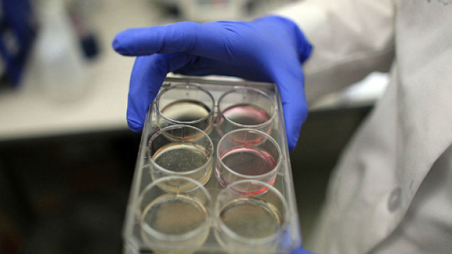 Un donatore di sperma si aggira in furgone per l'Inghilterra: ha gi&agrave; 65 figli biologici.