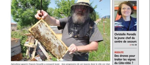 Principal organe d'information de l'Ardèche, le Réveil fait sa une sur les difficultés des apiculteurs et la disparition des abeilles
