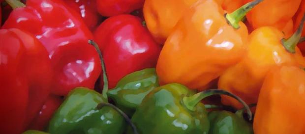 DIFERENTES TIPOS DE CHILES | Peque Lopez - wordpress.com DIFERENTES TIPOS DE CHILES | Peque Lopez - wordpress.com
