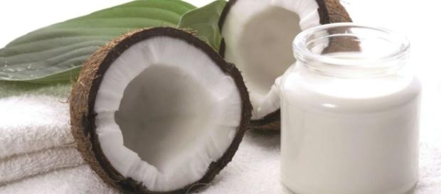 Leche de Coco: Contraindicaciones, Beneficios, Usos y Recetas ... - unisima.com Leche de Coco: Contraindicaciones, Beneficios, Usos y Recetas ... - unisima.com