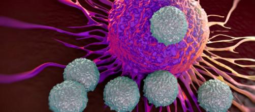 Tumore, nuovo test del sangue per la diagnosi precoce | 2A News - 2anews.it