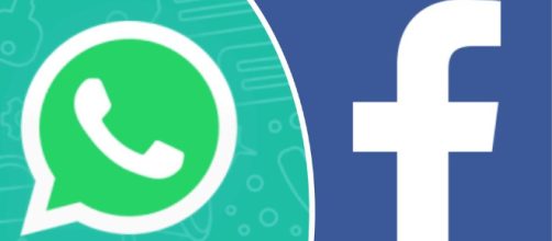 WhatsApp: si attende l'aggiornamento con condivisione Facebook.
