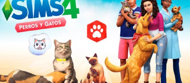 Análisis de Los Sims 4: Perros y Gatos para PC - navigames.es Análisis de Los Sims 4: Perros y Gatos para PC - navigames.es