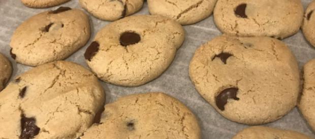 Healthy 7-Ingredient Chocolate Chip Cookies (Gluten Free Healthy 7-Ingredient Chocolate Chip Cookies (Gluten Free