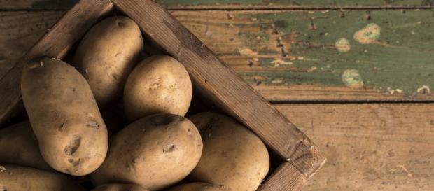 Kartoffeln Archive - Salzkartoffeln - salzkartoffeln.com Kartoffeln Archive - Salzkartoffeln - salzkartoffeln.com