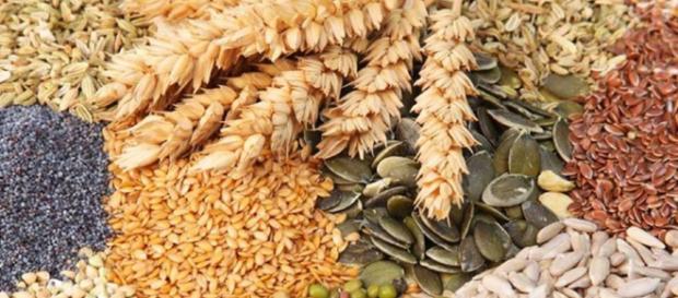 Comer más fibra ayuda a reducir grasas - #DrCormillot - drcormillot.com Comer más fibra ayuda a reducir grasas - #DrCormillot - drcormillot.com