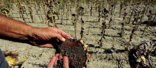 El calentamiento global afecta a Ucrania El calentamiento global afecta a Ucrania