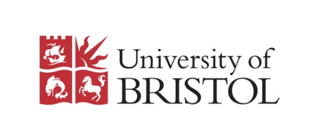Universidad de Bristol, enojada después de tantos suicidios Universidad de Bristol, enojada después de tantos suicidios