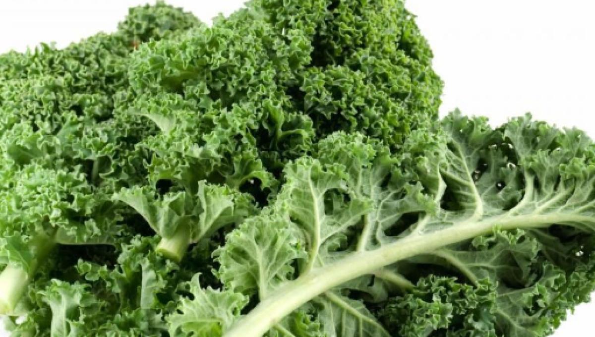Lista de verduras crucíferas propiedades y efectos en el cuerpo Lista de verduras crucíferas propiedades y efectos en el cuerpo