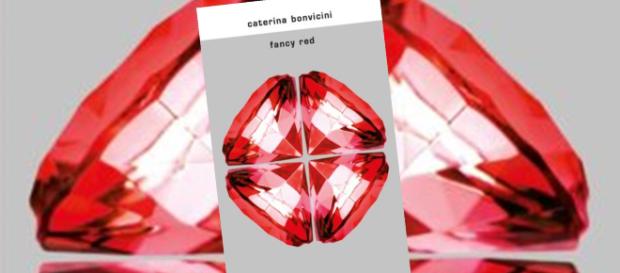 Nuovo romanzo per Caterina Bonvicini Nuovo romanzo per Caterina Bonvicini