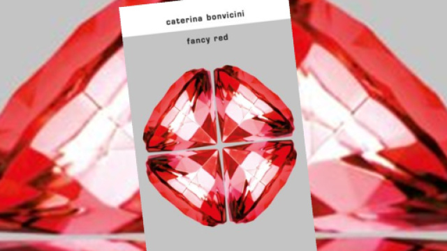 Nuovo romanzo per Caterina Bonvicini
