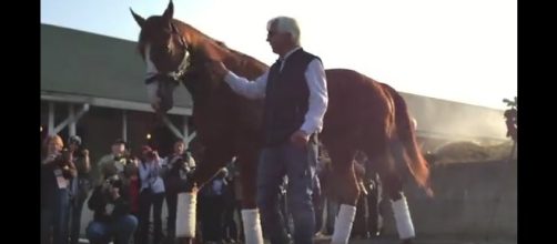 Thoroughbred race horse, Justify, with trainer Bob Baffert. [Image Credit: World of the Internet / YouTube]