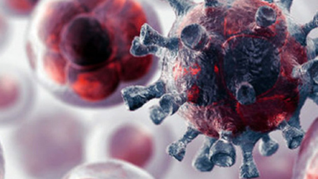 Il cancro costituisce uno dei mali del nostro secolo, la ricerca è in constante lavoro al fine di trovare una cura sostenibile.