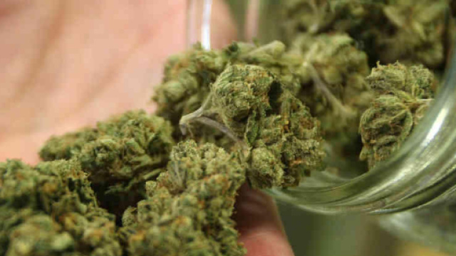 Un chilo di marijuana nell'utero, la strana scoperta dei medici messicani